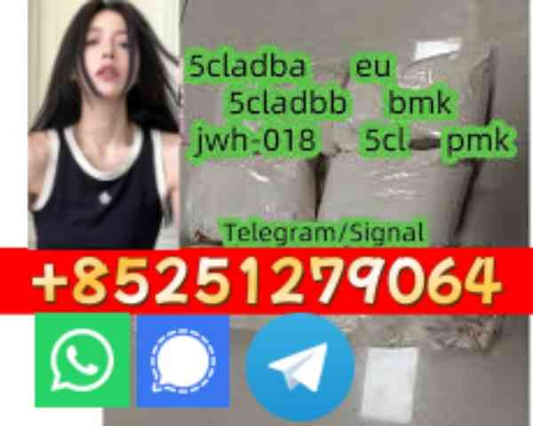 4f-adb 2cl-adbb 5f-mdma 6cl-ad-b-a 2f-dck apvp appp